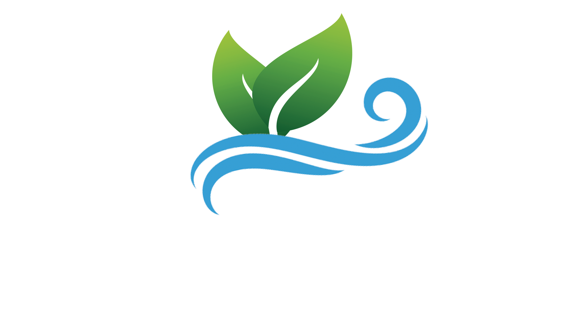 Max Services
