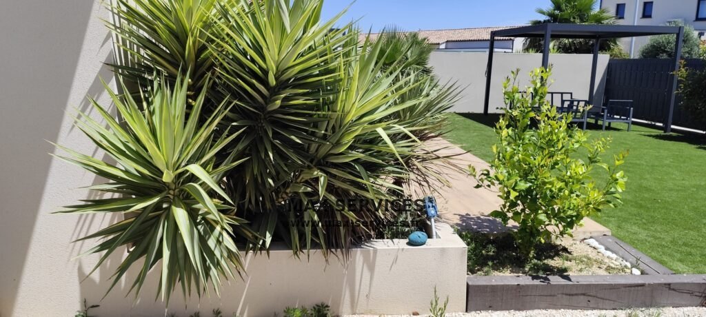 Entretien jardin