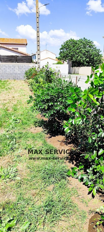 Plantation de haie