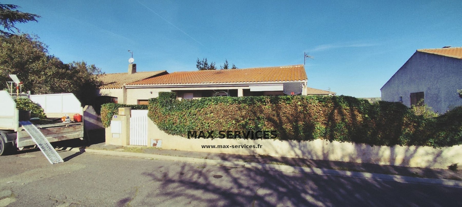 Taille de lierre