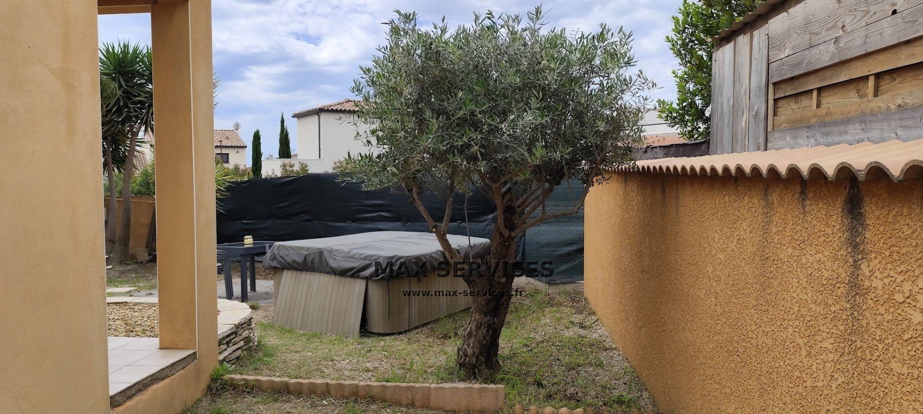 Taille de Palmiers, Yuccas et Oliviers
