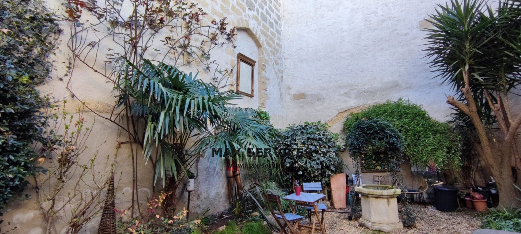 Taille Rosier et Yucca