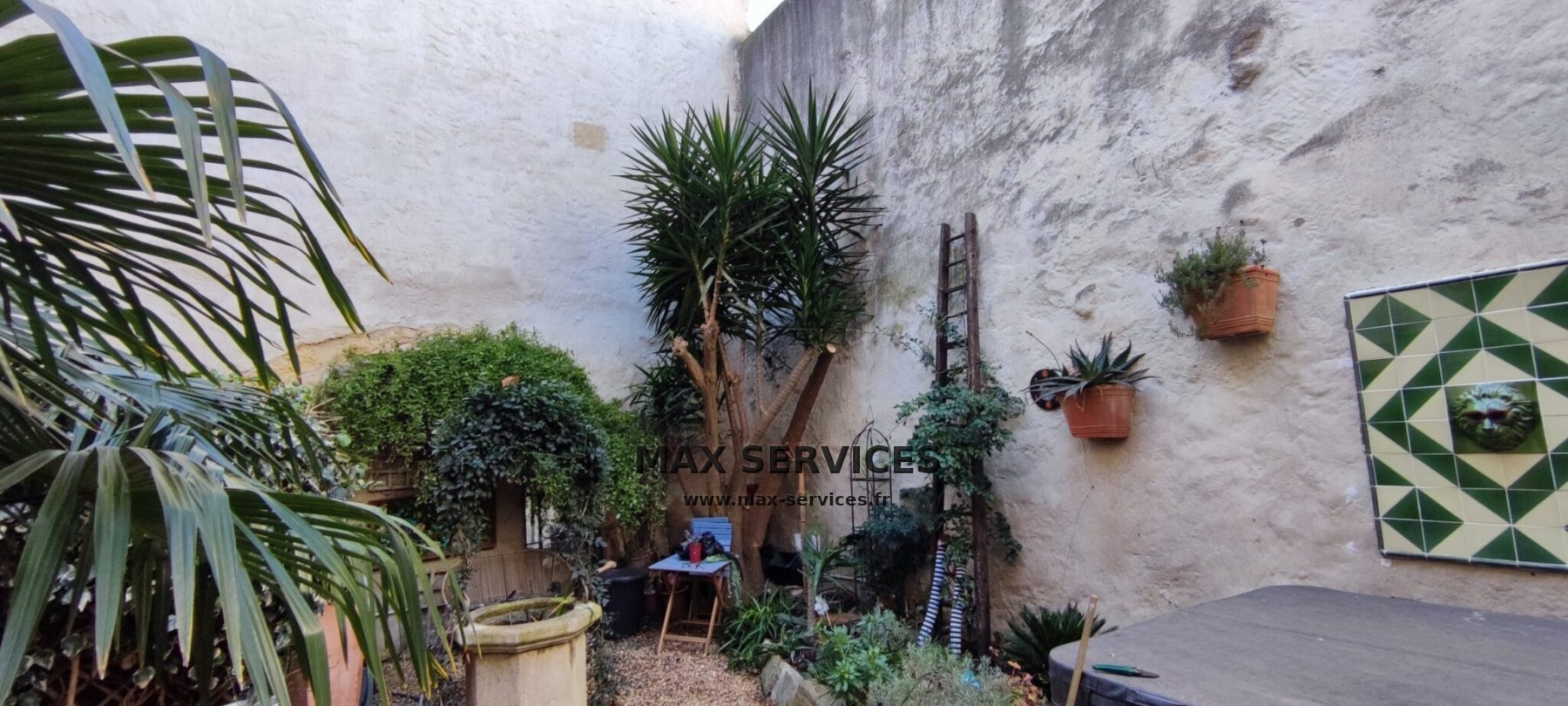 Taille Rosier et Yucca