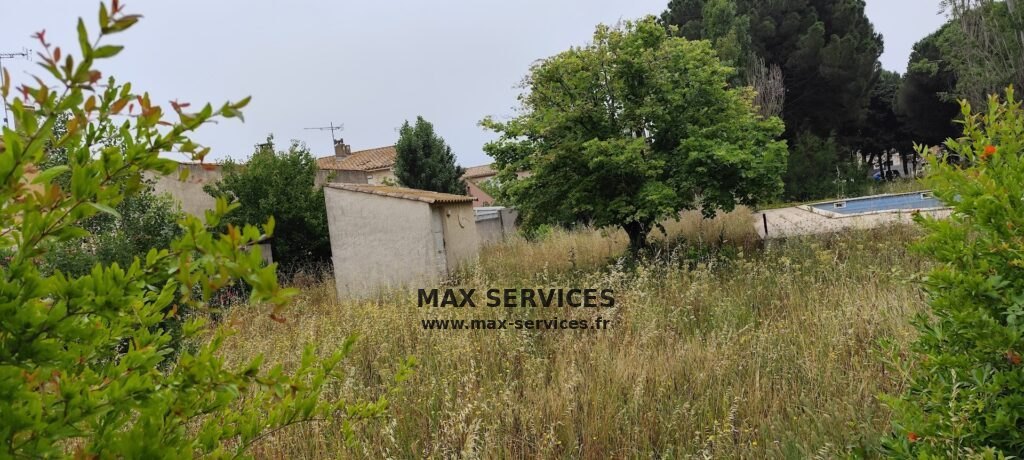 Tonte & Débroussaillage