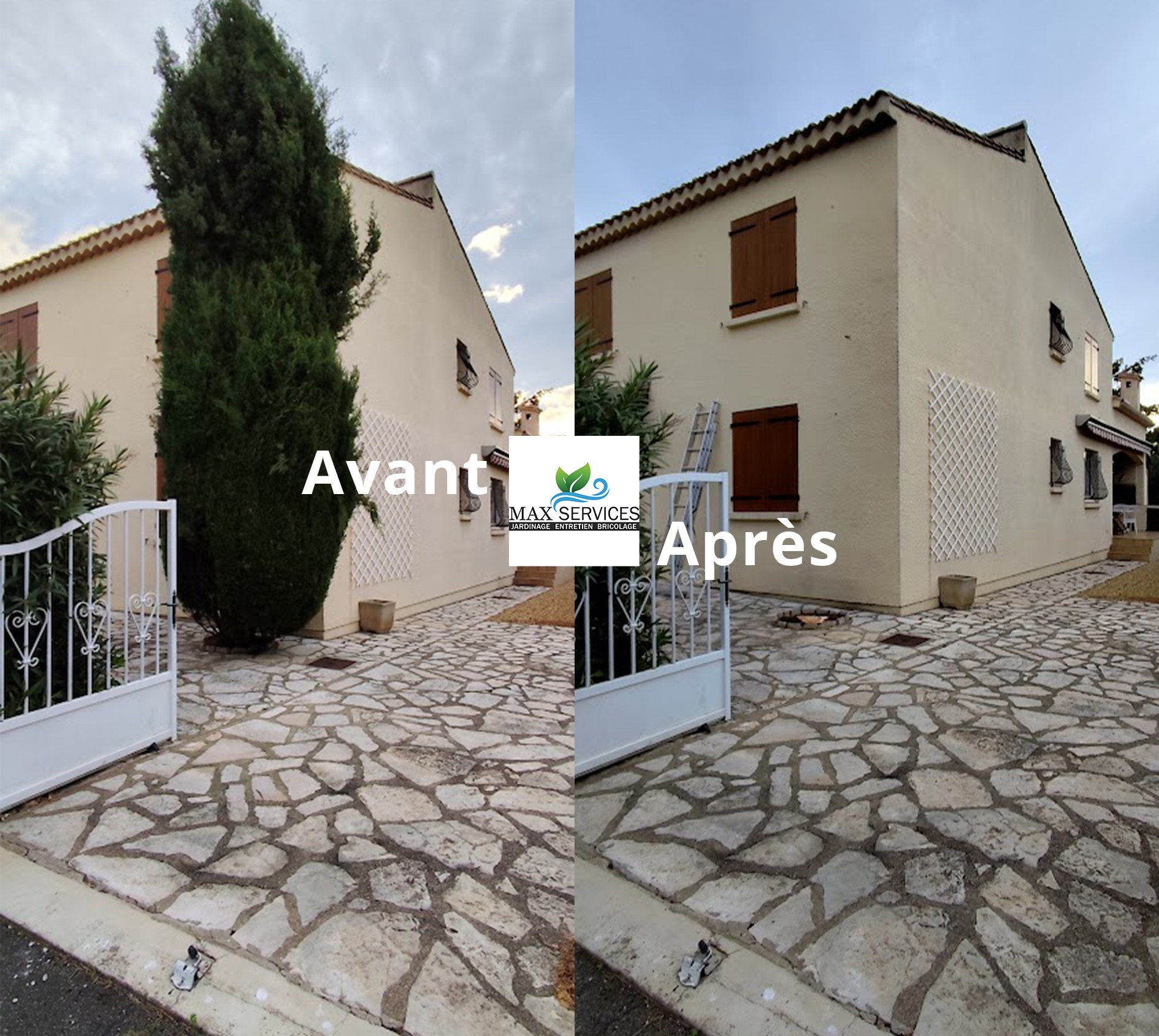 Abattage Cyprès