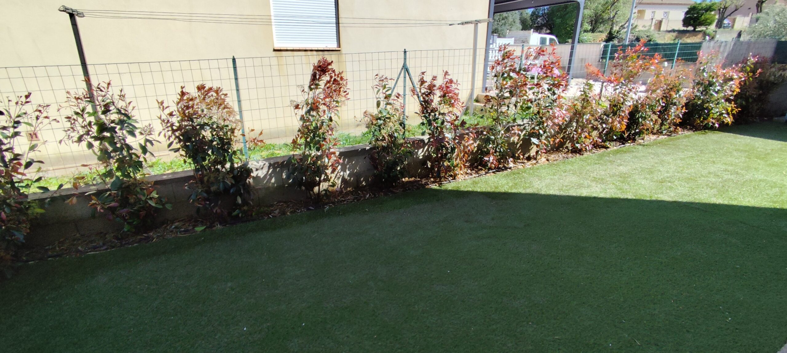 Plantation haie