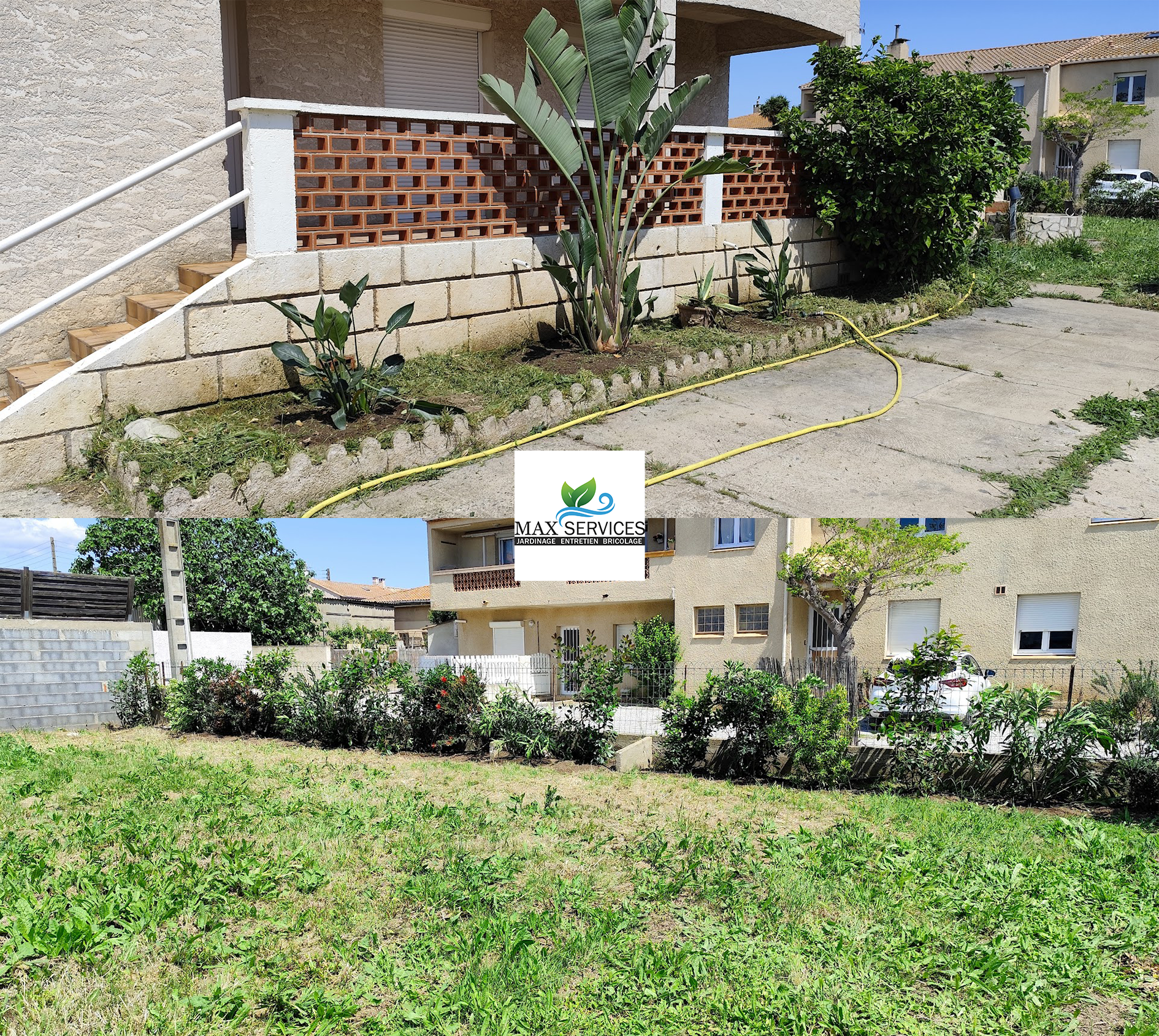 Plantation de haie
