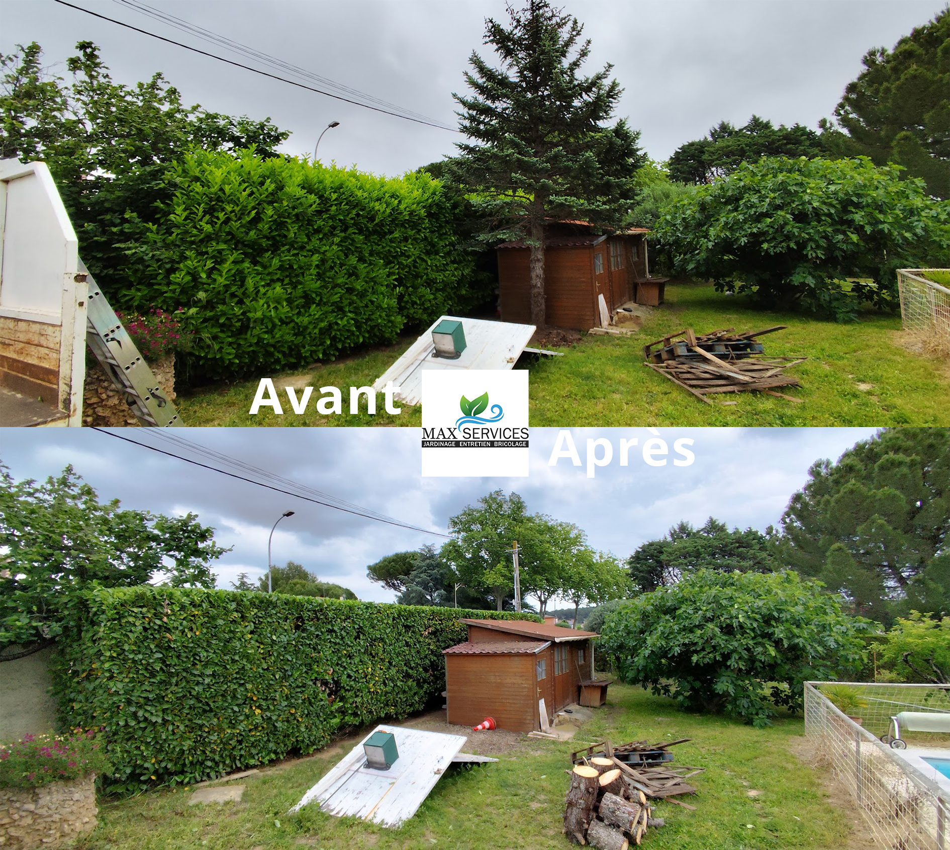 Taille, élagage et abattage