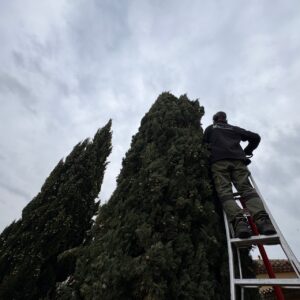 IMG_20260305_142630.heic_compressed IMG_20260305_142630.heic_compressed