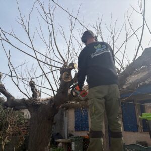 IMG_20260305_142703.heic_compressed IMG_20260305_142703.heic_compressed